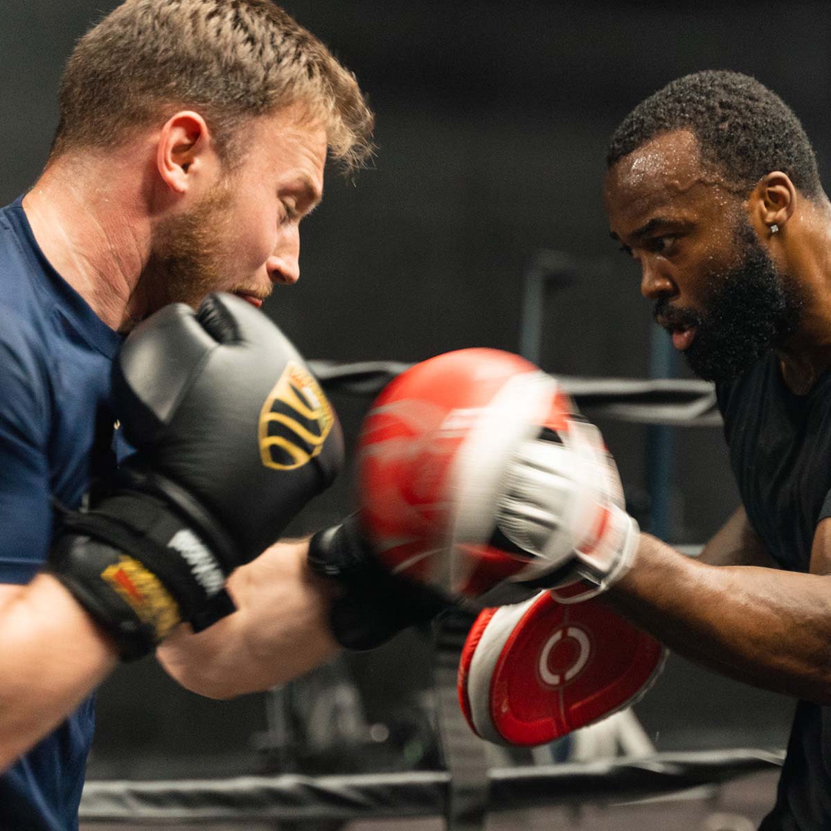 Boxing classes for kids and adults at Elite Boxing gym in Columbia MD
