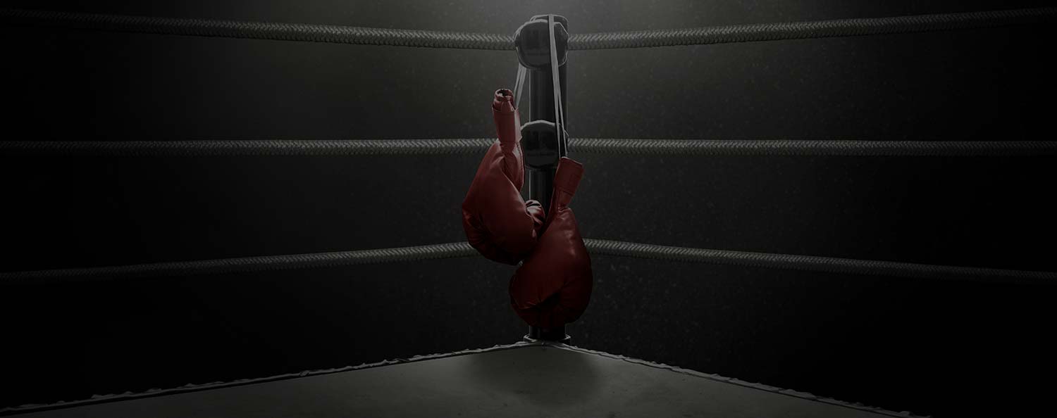 All Boxing Skill Levels Welcome @ Elite SFN Gym, Columbia, MD